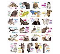 Edition Seidel Lot de 25 cartes postales amusantes avec inscription en allemand « Hund Katze Pferd » - Cartes d'anniversaire amusantes