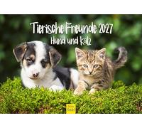 Edition Seidel Premium calendrier amis animaux chien et chat 2027 Format DIN A5. Calendrier mural allemand chiens chats chiots chatons Freundschaft