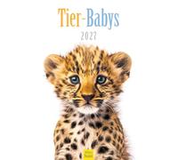 Edition Seidel Premium calendrier Bébés animaux 2027 Format DIN A3. Calendrier mural allemand calendrier animaux animal petits chiot animal de compagnie portrait animalier CM-KA-2027