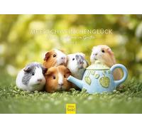 Edition Seidel Premium Calendrier Bonheur des cochons d'Inde - petits explorateurs au jardin 2027 Format DIN A5. Calendrier mural allemand cochons d'Inde rongeur animaux domestiques bébés animaux