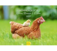 Edition Seidel Premium Calendrier Bonheur des poules coqs poules et poussins 2027 Format DIN A3. Calendrier mural allemand poules coqs poussins ferme volaille vie rurale animaux d’élevage