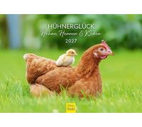 Edition Seidel Premium Calendrier Bonheur des poules - coqs, poules et poussins 2027 Format DIN A5. Calendrier mural allemand poules coqs poules poussins ferme volaille vie à la campagne animaux de