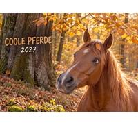 Edition Seidel Premium calendrier Chevaux cool 2027 Format DIN A4. Calendrier mural allemand citations équidé poney poulain drôle humour proverbes cavalier cadeau