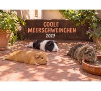 Edition Seidel Premium calendrier Cochons d'Inde cool 2027 Format DIN A5. Calendrier mural allemand animaux citations drôle humour proverbes rongeurs