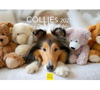 Edition Seidel Premium calendrier Colley 2027 Format DIN A4. Calendrier mural allemand d'animaux de chiens chiot bébés race de chien animal de compagnie