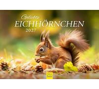 Edition Seidel Premium calendrier Écureuils bien-aimés 2027 Format DIN A5. Calendrier mural allemand calendrier animalier animaux sauvages indigènes forêt animaux CM-KA-2027