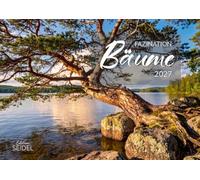 Edition Seidel Premium calendrier Fascination arbres 2027 Format DIN A4. Calendrier mural allemand calendrier nature arbre chêne hêtre érable arbre solitaire feuillage d'automne saisons paysage