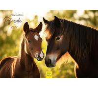Edition Seidel Premium calendrier fascination des chevaux 2027 Format DIN A5. Calendrier mural allemand pour fans de chevaux animaux poulain jument étalon Herde Landschaft Natur