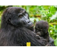 Edition Seidel Premium calendrier fascination gorilles 2027 Format DIN A4. Calendrier mural allemand Afrique forêt tropicale singes primates animaux sauvages animaux de la forêt