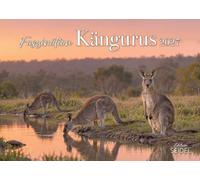 Edition Seidel Premium calendrier Fascination kangourous 2027 Format DIN A4. Calendrier mural allemand animaux bébé kangourou marsupiaux faune sauvage Australie outback nature