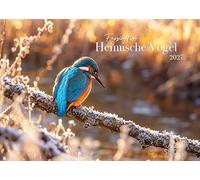Edition Seidel Premium calendrier Fascination oiseaux indigènes 2027 Format DIN A5. Calendrier mural allemand calendrier oiseaux martin-pêcheur pic épeiche cigogne grue héron cendré chouette hulotte