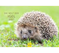 Edition Seidel Premium calendrier hérisson 2027 Format DIN A5. Calendrier mural allemand animaux avec images mignonnes forêt et animaux sauvages