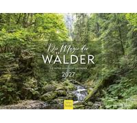 Edition Seidel Premium calendrier La magie des forêts 2027 Format DIN A4. Calendrier mural allemand nature forêt forêt de lauriers forêt vierge jungle marais gorge de Ravenna Peter Schickert