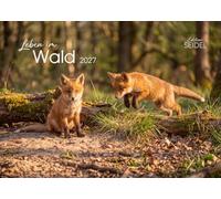 Edition Seidel Premium calendrier La vie dans la forêt 2027 Format DIN A3. Calendrier mural allemand calendrier animaux renard chouette hulotte blaireau pic faon écureuil cerf sanglier faune