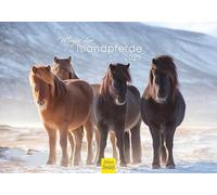 Edition Seidel Premium calendrier magie des chevaux islandais 2027 Format DIN A5. Calendrier mural allemand chevaux islandais Islande animaux poney jument étalon poulain