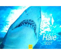 Edition Seidel Premium calendrier requins 2027 Format DIN A5. Calendrier mural allemand Haikalender Hai animaux marins Raubfische Meer Ozean Unterwasserwelt