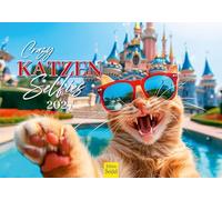 Edition Seidel Premium calendrier selfies de chats fous 2027 Format DIN A5. Calendrier mural allemand chats pour amoureux des animaux chatons matou tourisme plaisir voyages humour