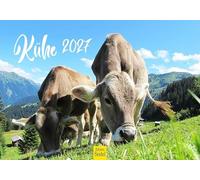 Edition Seidel Premium calendrier vaches 2027 Format DIN A5. Calendrier mural allemand kuhkalender Kuh Rind Kalb heimische animaux ferme