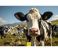 Edition Seidel Premium calendrier vaches 2027 Format DIN A5. Calendrier mural allemand kuhkalender Kuh Rind Kalb heimische animaux ferme
