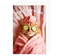 Edition Seidel Premium Carte d'anniversaire de qualité supérieure avec enveloppe. Carte de vœux Happy Birthday pour femme maman fille petite amie motif chat bien-être et drôle (G3562 SW024)