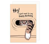 Edition Seidel Premium Carte d'anniversaire de qualité supérieure avec enveloppe Carte de vœux Happy Birthday pour homme femme chat drôle (G3722 SW025)