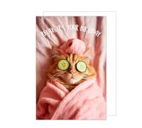 Edition Seidel Premium Carte de qualité supérieure d'anniversaire XXL avec enveloppe format A4 Carte de vœux Happy Birthday pour elle femme homme fille petite amie motif chat amusante (A4-G3562)