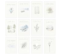 Edition Seidel SW026 Lot de 12 cartes de condoléances avec enveloppe - Carte de condoléances avec inscription en allemand (cartes doubles/pliantes avec enveloppe)