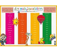 EDITIONS ARIS Sous-main et Set de table éducatif 30x42 Plastifié, effaçable"Les mots invariables"