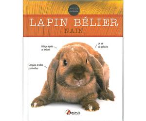 ÉDITIONS ARTEMIS-Livre "Lapin bélier nain" aux Éditions Focus Artemis