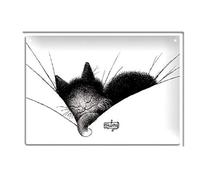 Éditions Clouet 29190 - Petite Plaque métal 15x21 cm Chats de Dubout - Gros Dodo