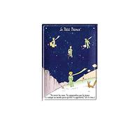 Éditions Clouet 29220 - Petite Plaque métal 15x21 cm Le Petit Prince - Va Revoir Les Roses