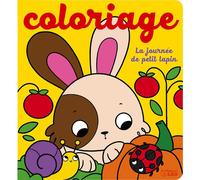 ÉDITIONS LITO-Livre La journée des petits animaux en coloriage éditions Lito - 8 pages
