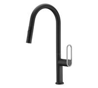 Edouard Rousseau - Mitigeur TAÏNO Noir/Gris - Bec Mobile avec Douchette 2 Jets - Flexible Nylon 1,50 m Clipsable (Evier)