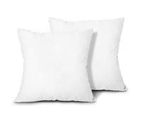 EDOW Lot de 2 coussins décoratifs légers en polyester et duvet alternatif pour canapé, rembourrage de couvre-oreillers, lavables en machine (blanc, 71 x 71 cm)