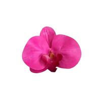 EDPEZHRMD Fleurs artificielles Artificial Phalaenopsis Orchid Heads Spun Silk Multicolor Pack of 20-200(Red,20P)