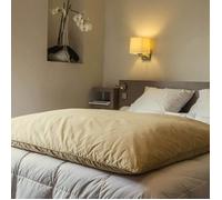 Édredon gonflant - CASTEX COUETTES NATURELLES - Jacquard beige - 90% duvet neuf - 160x170 cm