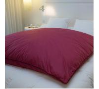 Édredon gonflant - CASTEX COUETTES NATURELLES - Jacquard grenat - 90% duvet neuf - 160x170 cm