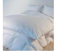 Édredon naturel Eco Castex - 200x170cm blanc 30% duvet