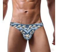 EdsfFehs Slip de bikini imprimé ours polaire pour homme, doux, extensible et respirant, Noir , M