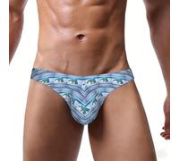 EdsfFehs Slip de bikini pour homme imprimé ours polaire, doux, extensible et respirant, Noir , XL