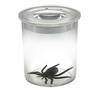 Edu Science 61004 Standard Childrens Bug/Insect Viewer, Clear