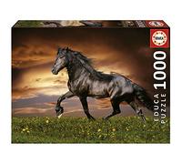 Educa - Puzzle de 1000 pièces pour Adultes | Cheval Au Trot. Mesure : 68 x 48 cm. terminé. À partir de 14 Ans (19555)