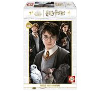 Educa - Puzzle de 1000 pièces pour Adultes Miniature | Harry Potter. Taille Assemblée : 30 x 46 cm. Inclut Colle Fix Puzzle. A partir de 14 Ans (19490)