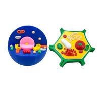 Éducation Modèle de cellule végétale animale anatomique pour l'enseignement, démonstration, apprentissage interactif de la biologie