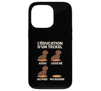 Éducation Teckel Chiot, Entrainement Dressage Humour Chien Coque pour iPhone 13 Pro