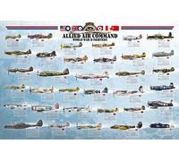 Educational - Avions de chasse des Alliés - Affiche éducative - Impression 91,5x61 cm