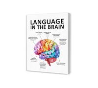 Educational Brain Poster, “The Language Centers” Neuroscience Art for Students, Clinicians and Science Lovers (Unframed,16x24inch(40x60cm))