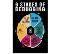 Educational Debugging Process Poster 6 Stages of Debugging Wall Art Chart for Programmers Coding Classroom Tech Office Decor(Unframed,16x24inch(40x60cm))