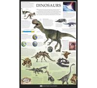 Educational - Dinosaurs - Dorling Kindersley Poster éducatif - Impression de poster