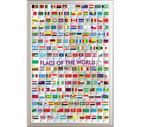 Educational - Éducation - Affiches - Drapeaux du monde + cadre interchangeable, Shinsuke® Maxi aluminium argenté, vitre acrylique